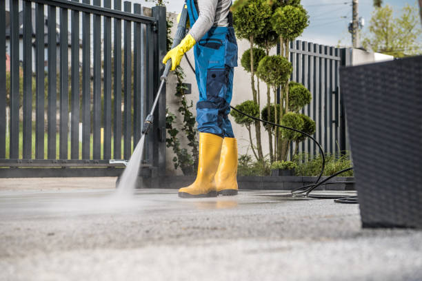 Best Roof Washing  in Lake Fenton, MI