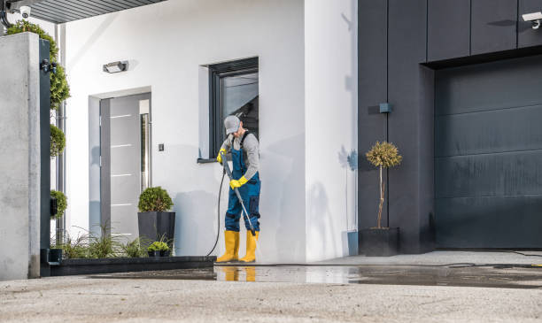 Best Animal Enclosure Cleaning  in Lake Fenton, MI